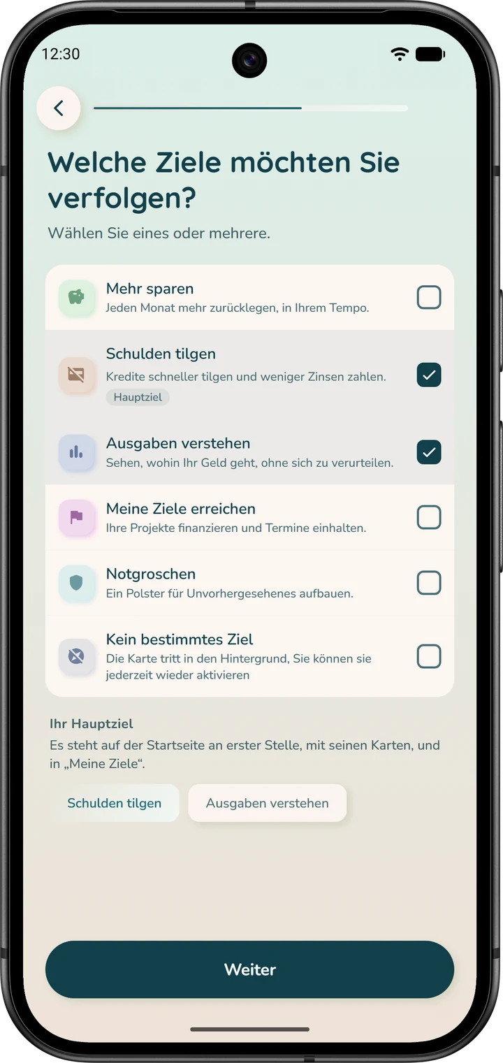 Seite des Assistenten, auf der ein oder mehrere Ziele ausgewählt werden, etwa „Schulden tilgen“.
