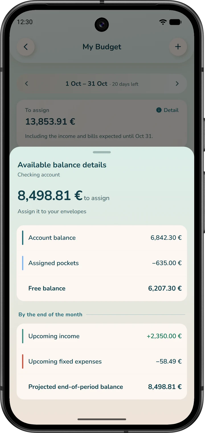 Available balance details: from the free balance to the “Projected end-of-period balance”.