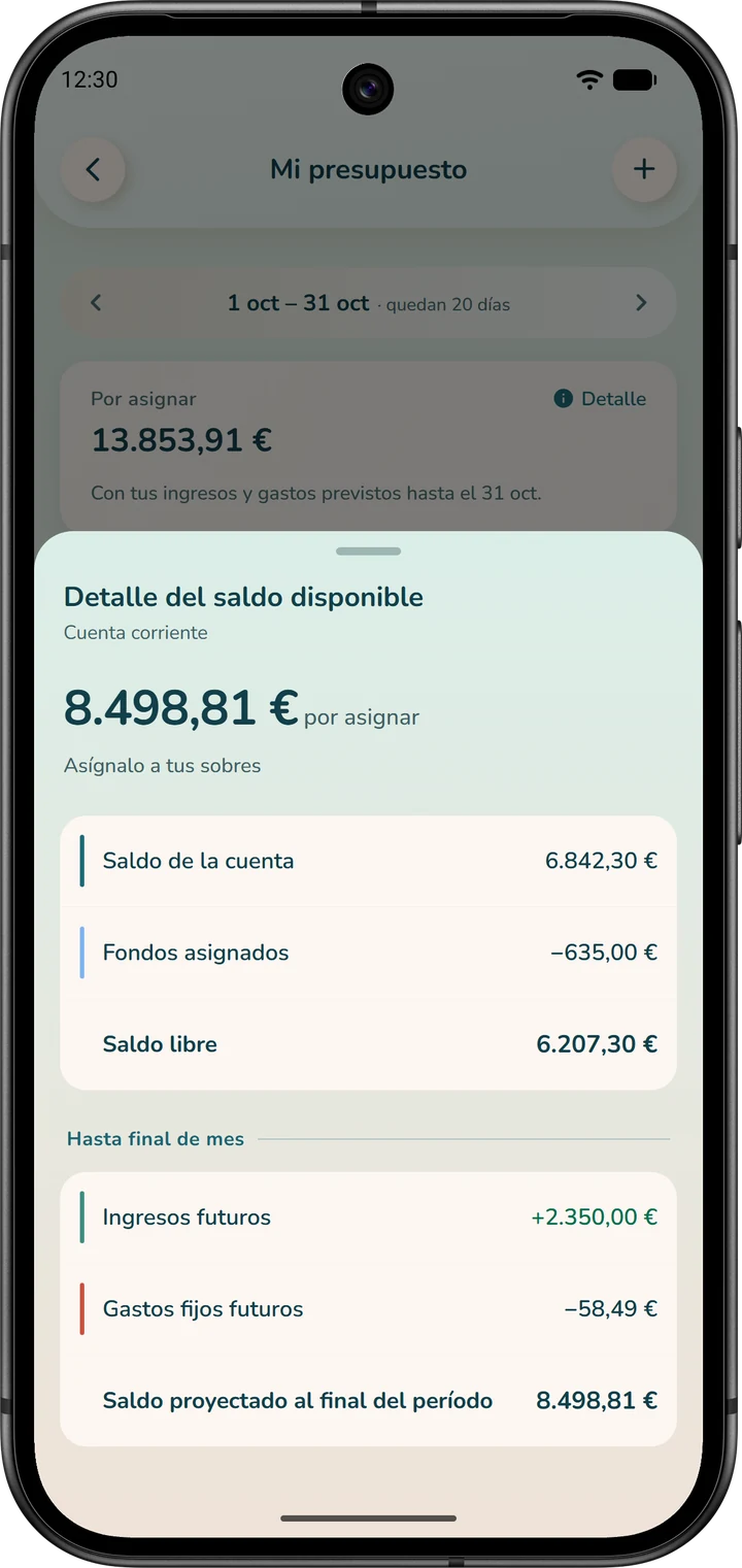 Detalle del saldo disponible: del saldo libre al «Saldo proyectado al final del período».