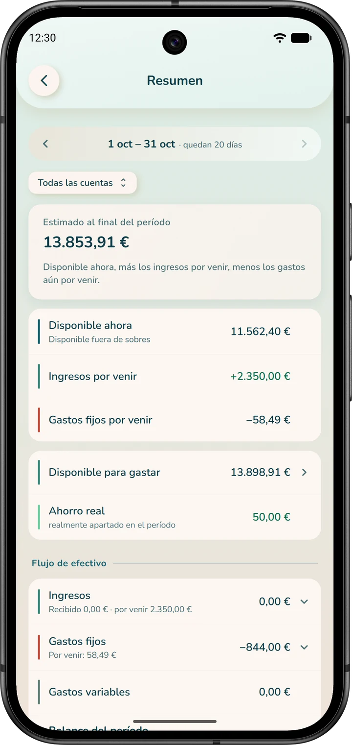 El «Resumen»: la estimación al final del período, calculada a partir del dinero disponible.
