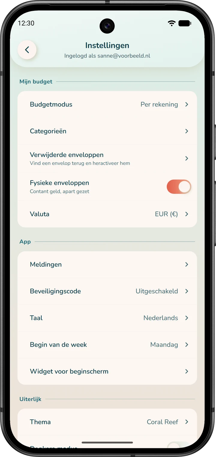 Instellingen, sectie ‘Mijn budget’: de regel ‘Budgetmodus’, die ‘Per rekening’ aangeeft, en de schakelaar ‘Fysieke enveloppen’.