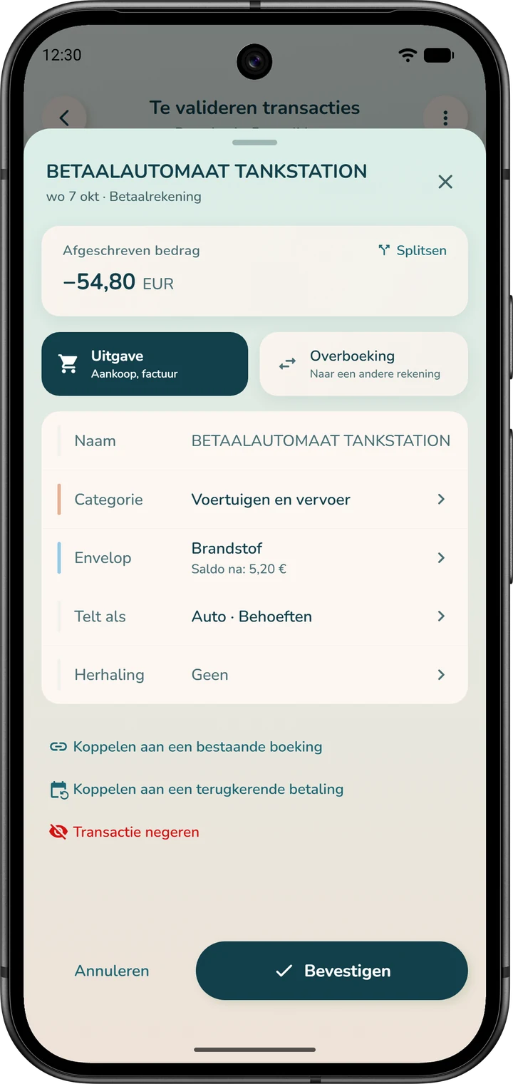 Details van een banktransactie: de regel ‘Envelop’, met de gekozen envelop en het saldo ervan na de transactie.