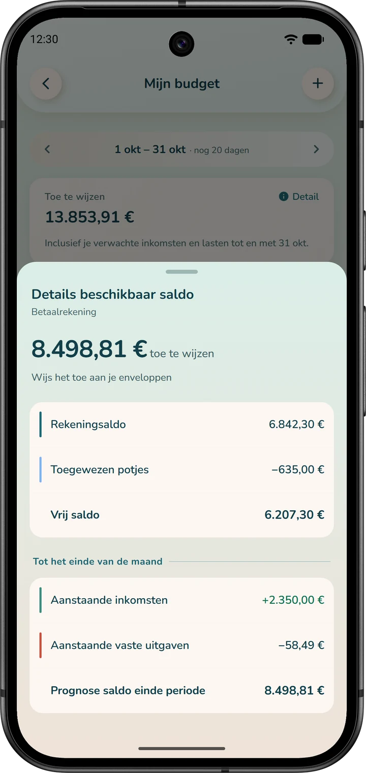 Details van het beschikbare saldo: van het vrije saldo tot ‘Prognose saldo einde periode’.